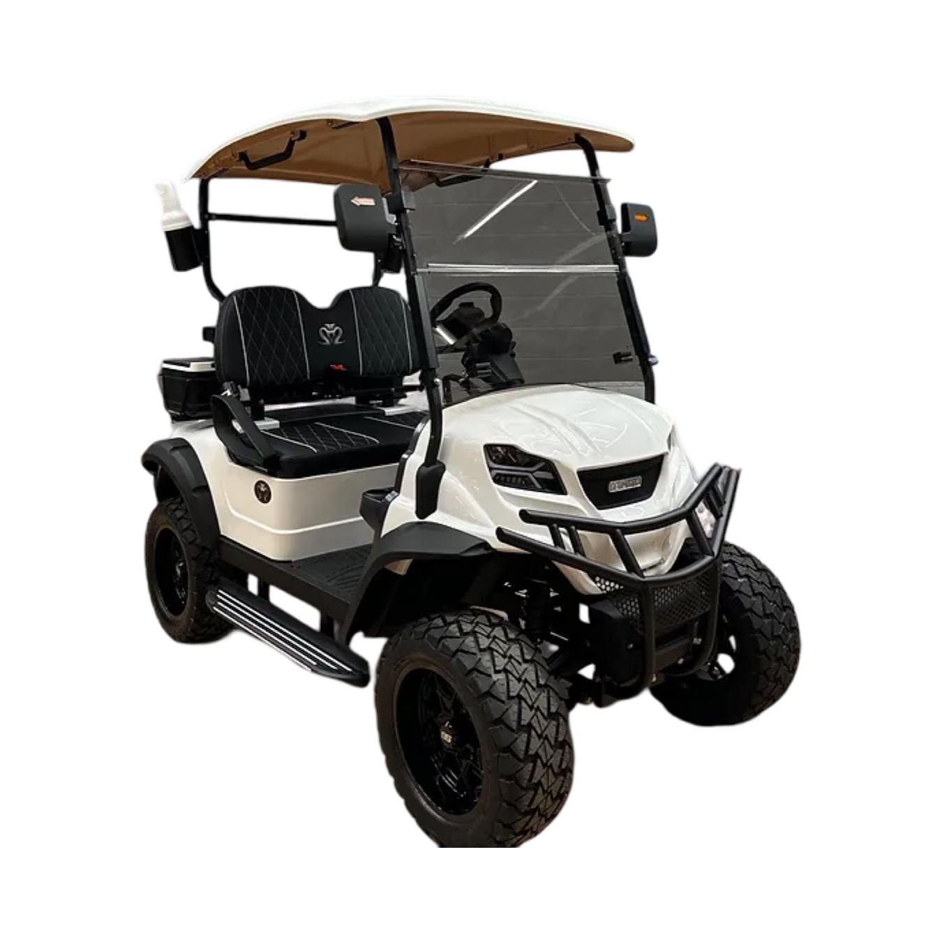 2 Person Course Golf Carts